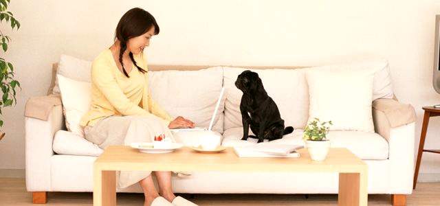 プロバイダの変更に均等さが見られる時